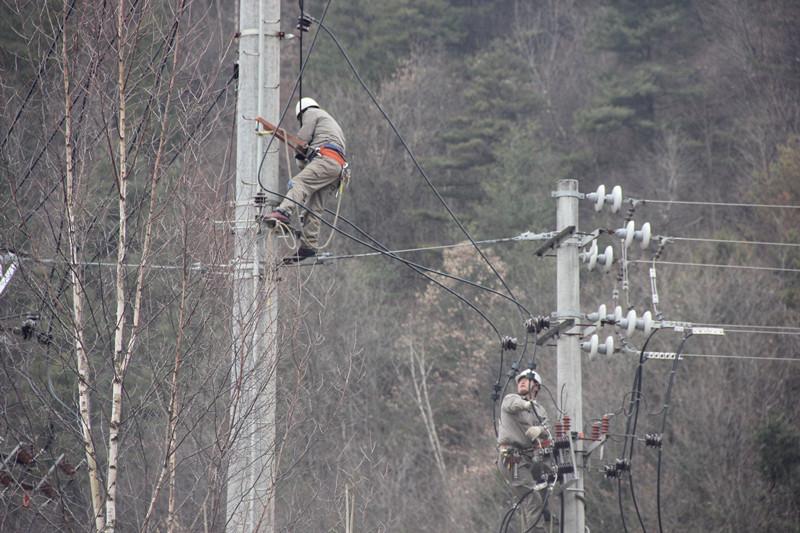 陜西地電留壩供電分公司：實施農石線、索道線分網改造