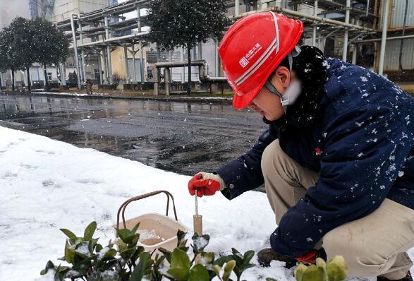 大唐環境特許經營分公司積極應對低溫雨雪冰凍災害