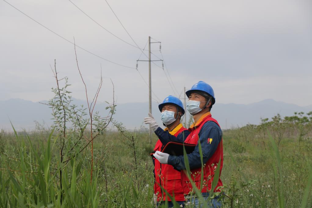 國網伊犁供電公司“綠色電”增彩“生態林”