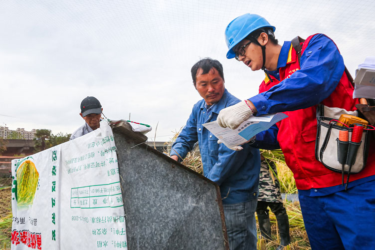 國網寧波市鄞州區供電公司：深入田間地頭，助力“三秋”保豐收