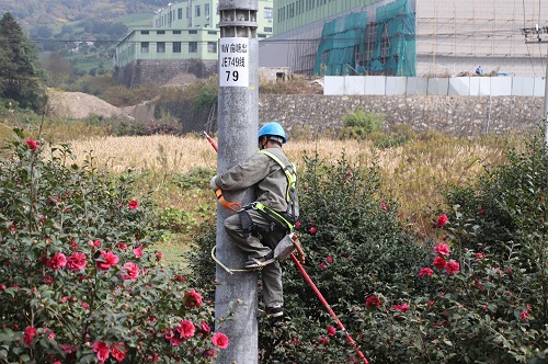 國網寧波市鄞州區(qū)供電公司柱上開關退保護，為供電可靠性架起橋梁