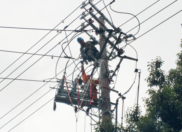 國網慈溪市供電公司開展網架優化工程提升線路運行健康水平