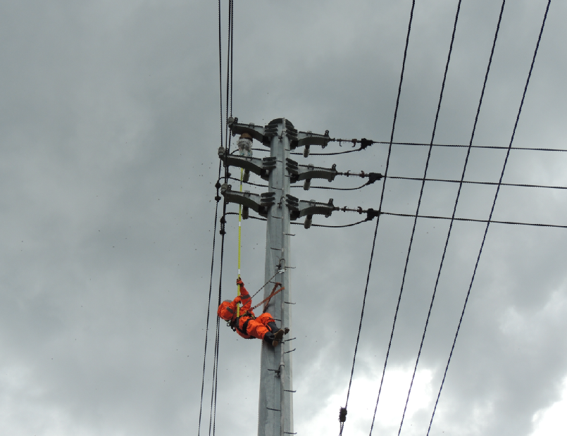 國網余姚市供電公司祛除毒蜂還電網穩定運行