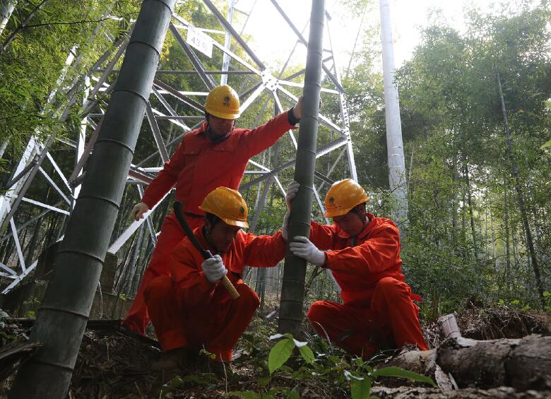 國網余姚市供電公司通道清理為冬季用電筑牢安全壁壘