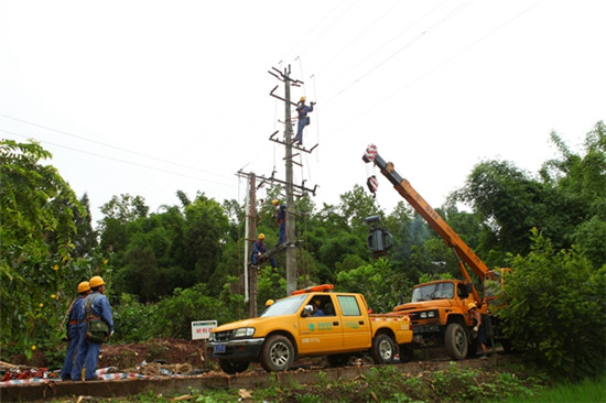 國網彭山供電公司為鄉村振興充電賦能