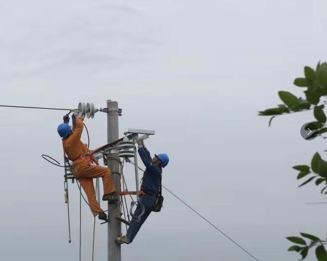 國網南充供電公司：精準施策促智志雙扶 產業振興照亮致富路