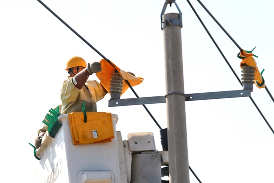 國網山東壽光供電：帶電作業不誤春灌 快速消缺服務農戶