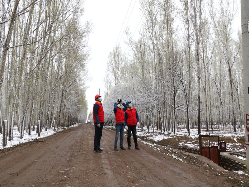 國網伊犁伊河供電公司四月飛雪，電力員工巡視線路保供電