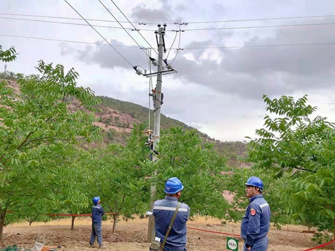 鳳慶供電局詩禮供電所提升優質服務助力鄉村振興