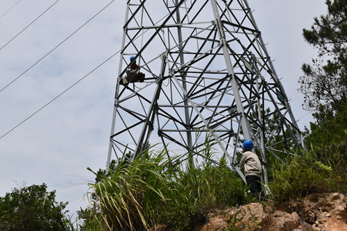 國網霞浦縣供電公司：排查地質災害點 保線路安全穩定