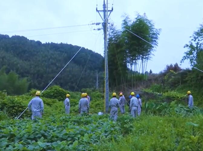 福建泰寧“蜈蚣梯”上陣 帶電作業保供電