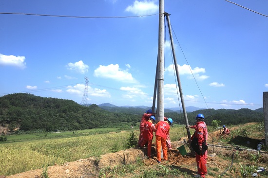 國網江山市供電公司：“網上電網”助力 農業灌溉用電無憂