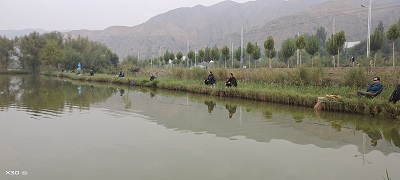 國網劉家峽水電廠：垂釣太極湖  秋淺風頻舞