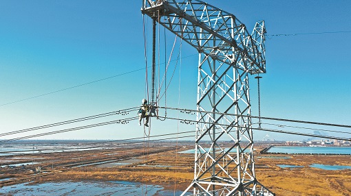 國網山東超高壓公司帶電更換絕緣子