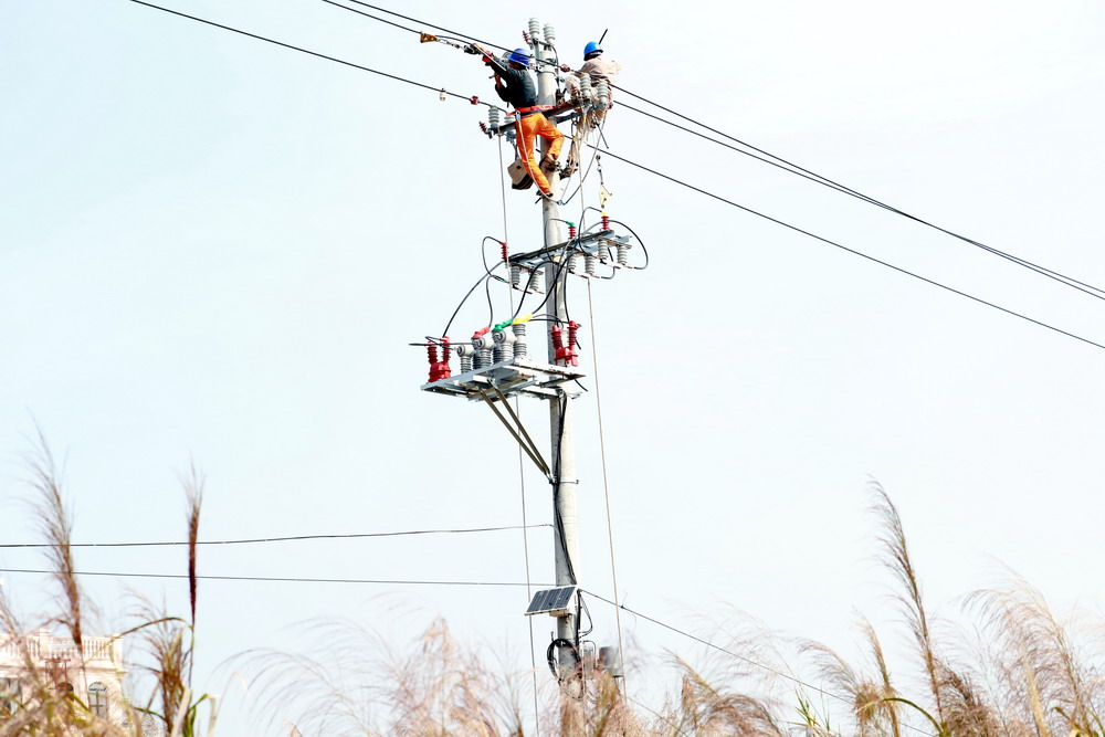 國網莆田供電公司升級改造線路 為鄉村振興“充足電”