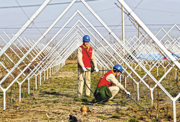 國家電網江蘇電力(金湖飛虎)共產黨員服務隊：有呼必應 有難必幫