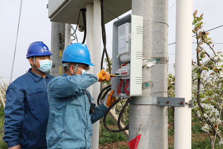 國網諸城市供電公司電力足，千畝梨園花正濃