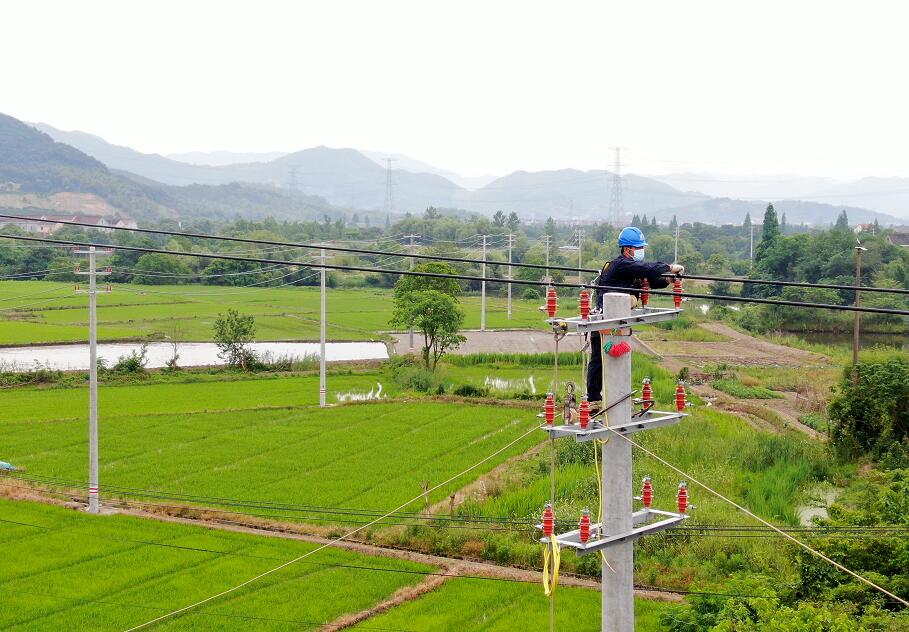 國網余姚市供電公司：電網升級改造 賦能夏收夏種