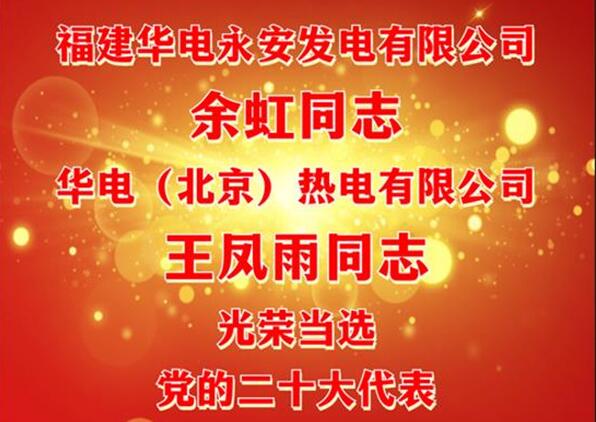 中國華電余虹、王鳳雨同志當選黨的二十大代表