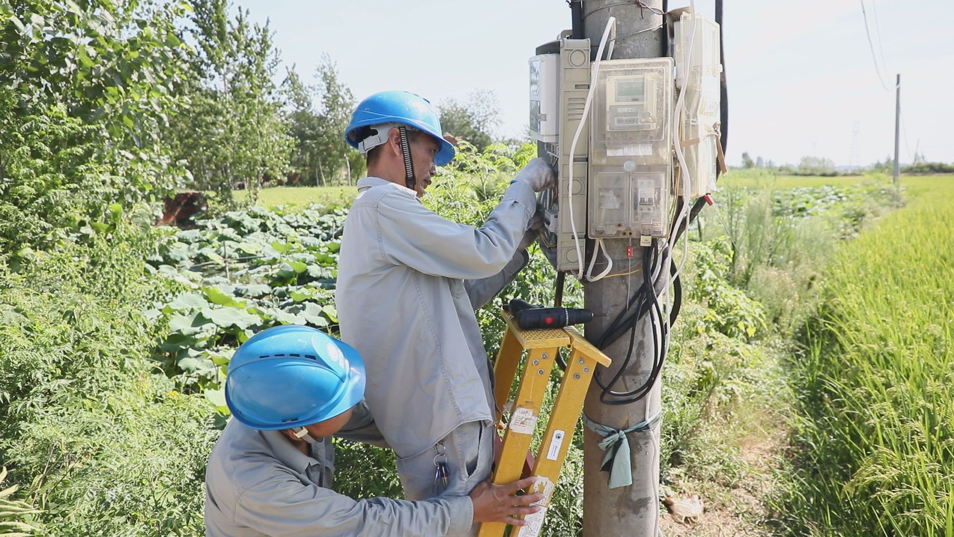 湖北襄州：高溫抗旱保供電 灌溉農田潤民心