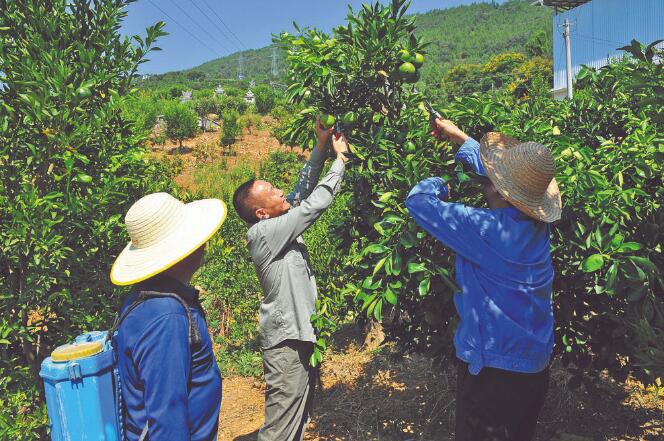 王國洲：把村事當家事，把村民當親人