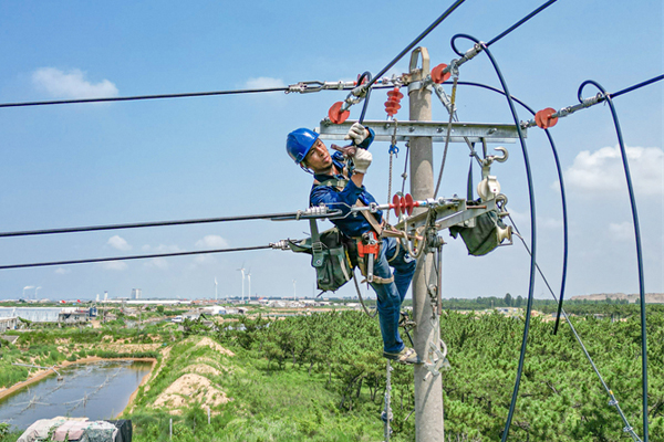 國網煙臺供電公司：電力賦能產業興 鄉村振興動力足