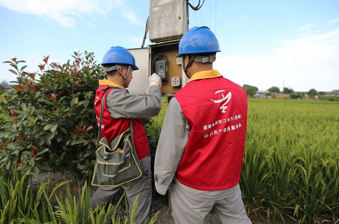 國網蒼南縣供電公司上門服務 全力抗旱保電解民憂