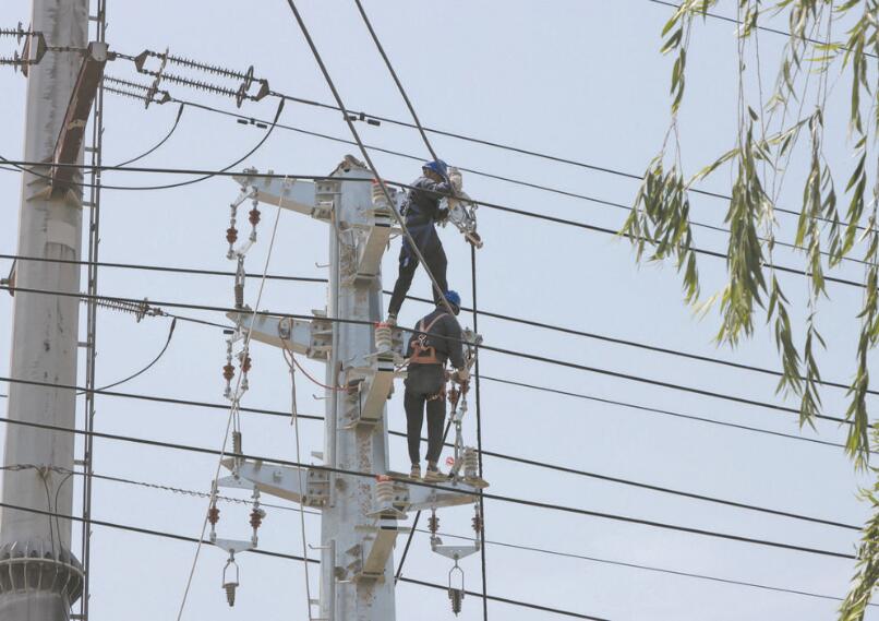 國網高密市供電：整村改造配電網 產業發展動力足