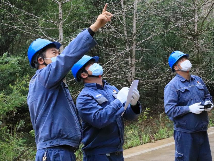 廣西靈川縣供電部門全力保障電網安全