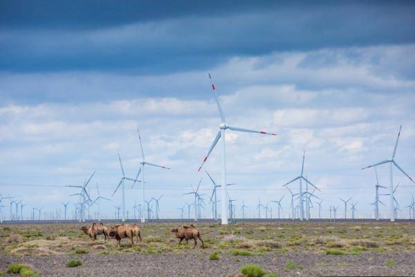 新疆電網新能源裝機突破4000萬千瓦 占比36.09%