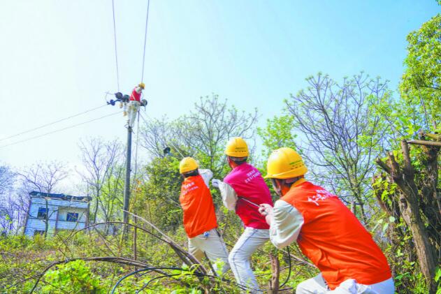 國網重慶電力公司報裝接電線上辦 快捷省力又省錢