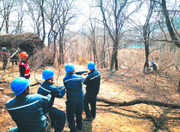 國網遼寧電力公司建成高供電可靠性示范區