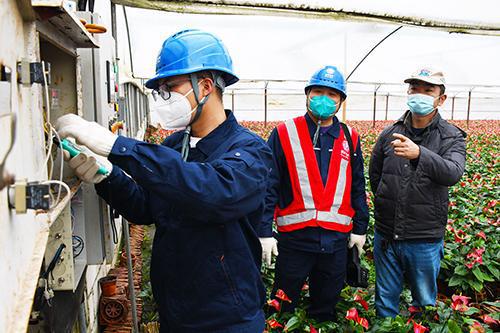 國網福州供電公司帶電檢測花卉大棚的供電設備確保供電安全