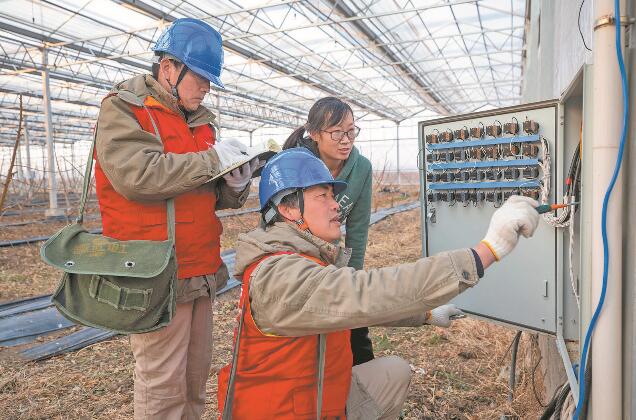 江蘇省新沂市：優質服務送上門 水蜜桃富了老范村