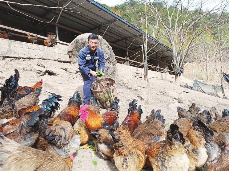 駐村第一書記寸城鋼：扎根雪域高原 情暖傈鄉大地