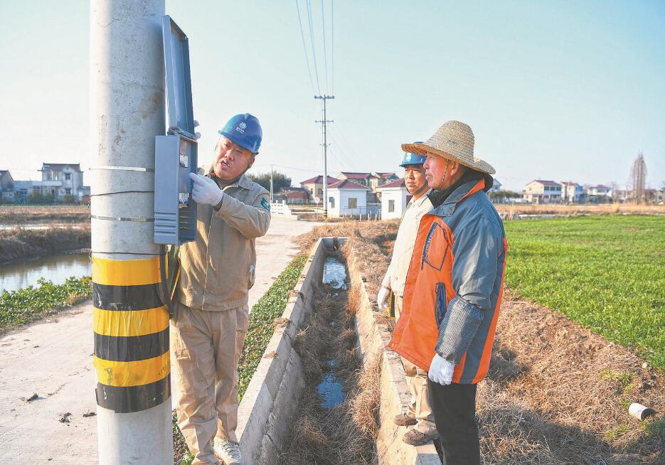 保排灌設備用電 助小麥穩產豐產