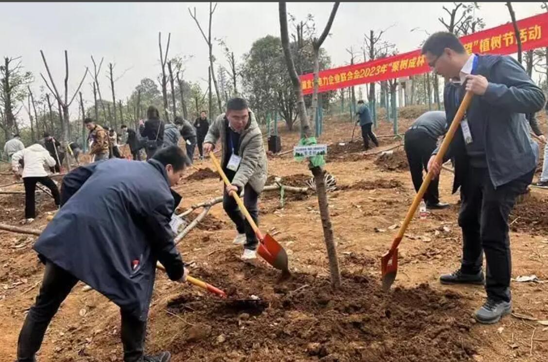 湖北省電力企業聯合會舉辦“聚樹成林·聚合希望”植樹活動