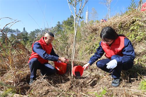 國網壽寧縣供電公司：助力低碳發展 共建綠美生態