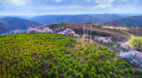 國網(wǎng)慶陽供電公司電力賦能繪就美麗鄉(xiāng)村新畫卷