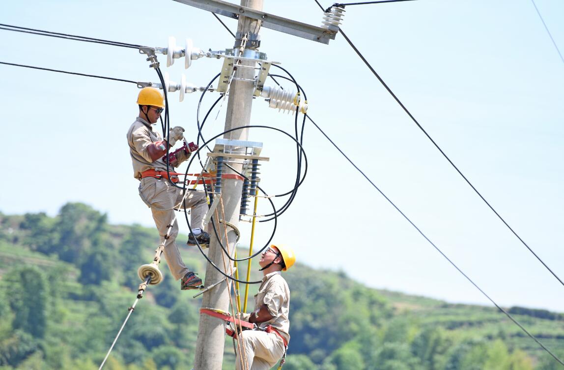 國網福鼎市供電公司：帶電作業戰高溫 迎峰度夏保供電