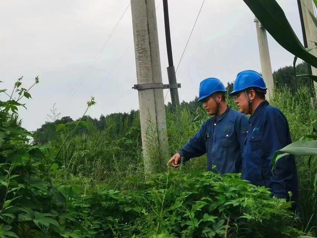 國網長春供電公司積極應對極端天氣，確保線路設備穩定運行