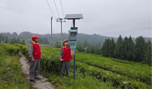 國網古丈縣供電公司村網共建進村 助力鄉村振興