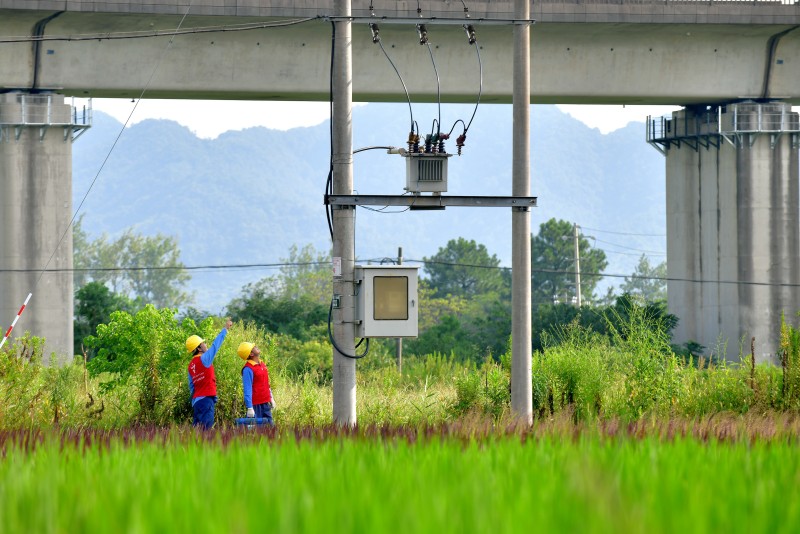 國網余姚市供電公司：供電有保障 鄉村旅游更火熱