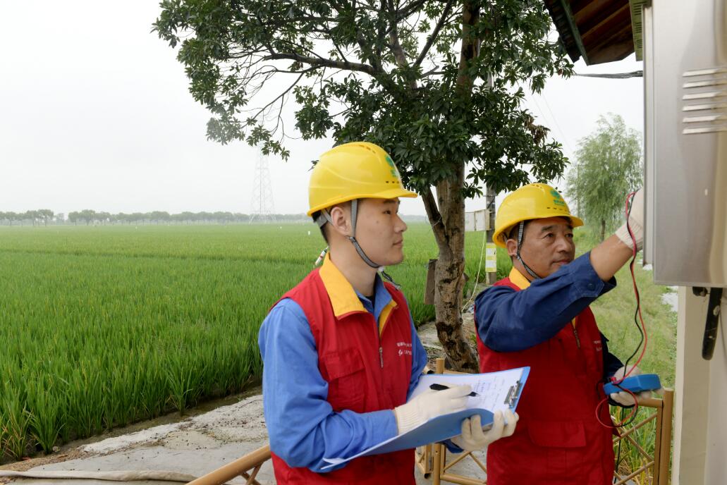 國網余姚市供電公司：秋收用電早檢查 護航穩產好“豐”景