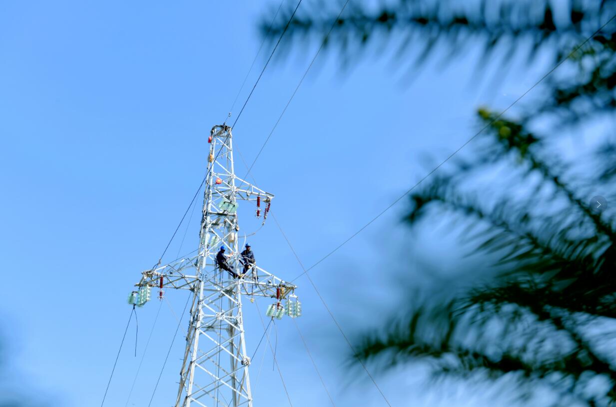 國網余姚市供電公司：銀線翻山織錦繡 繪就四明新畫卷