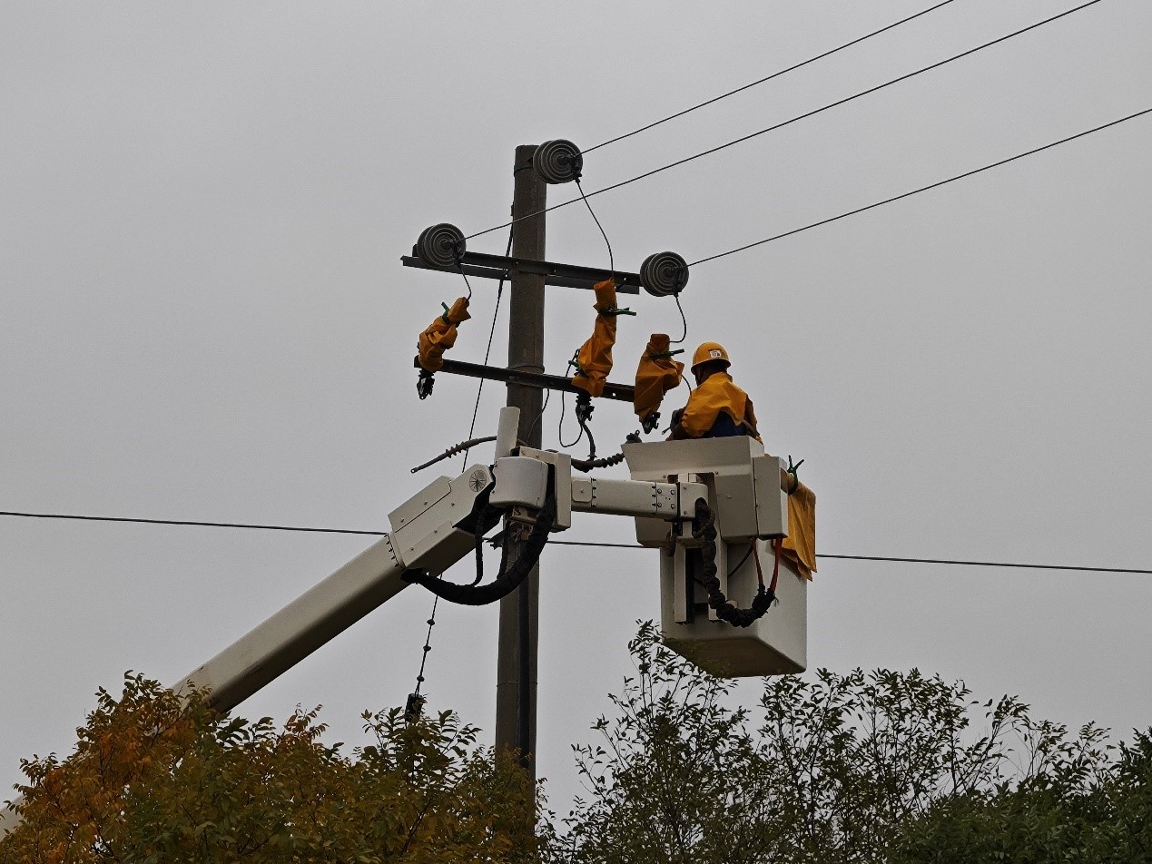 阿拉善供電公司：應急搶修保供電 帶電作業顯神威