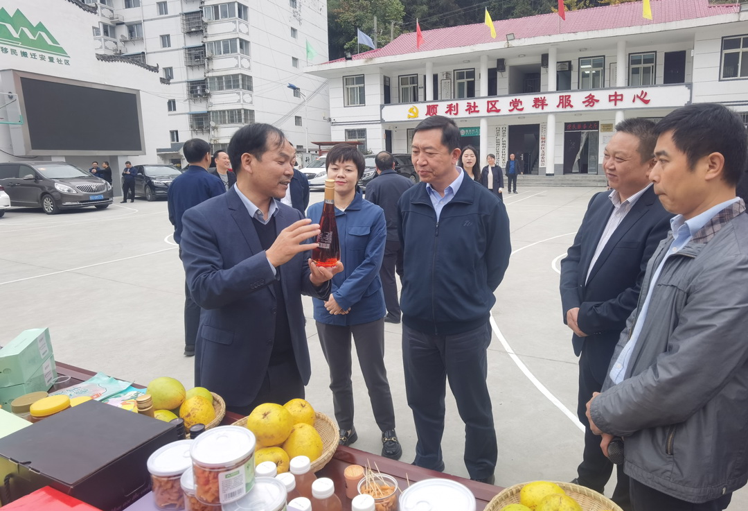 中核集團總經理、黨組副書記顧軍赴陜西白河、旬陽調研鄉村振興工作