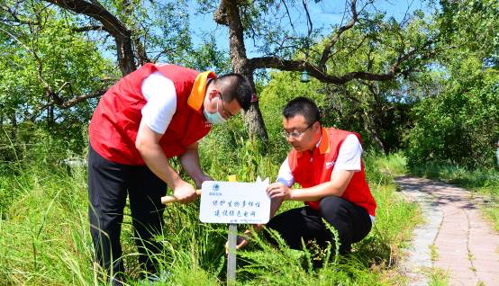 國網蒙東興安供電公司“電力+生態”為濕地綠色發展賦能