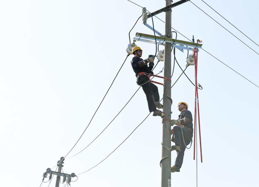 國網福鼎市供電公司農網改造 助力紫菜香飄萬里