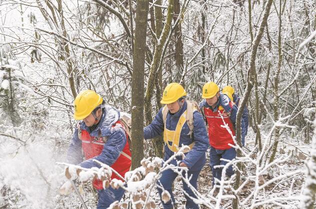 國網重慶電力公司頂風冒雪開展觀冰巡檢